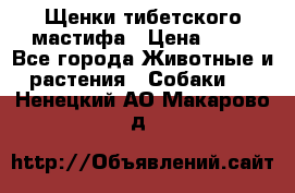 Щенки тибетского мастифа › Цена ­ 80 - Все города Животные и растения » Собаки   . Ненецкий АО,Макарово д.